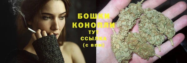 шишки Нягань