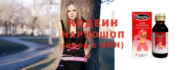 шишки Нягань