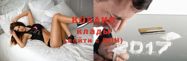 спайс Няндома