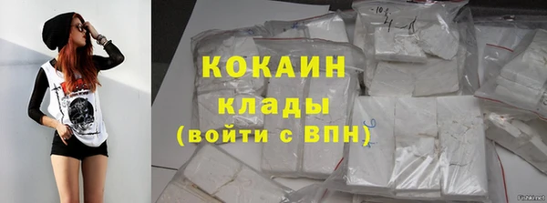 шишки Нягань