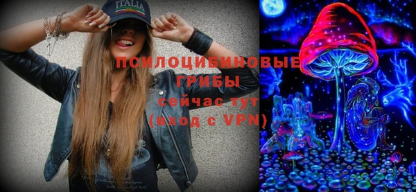 спайс Няндома