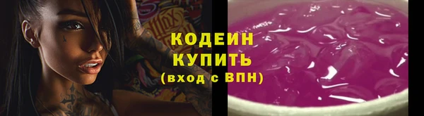 спайс Няндома