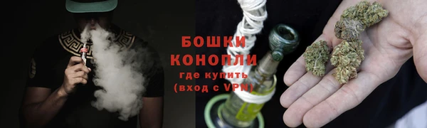 прущие грибы Беслан
