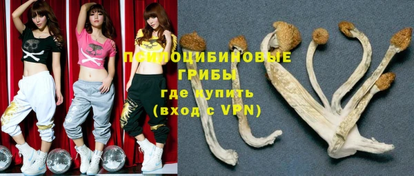 эйфоретик Нязепетровск