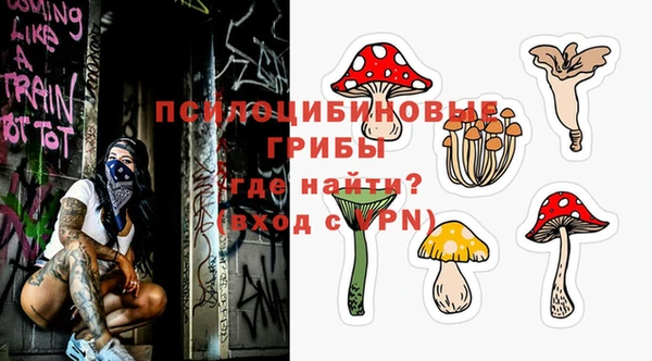 шишки Нягань