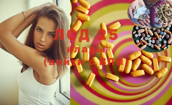 шишки Нягань