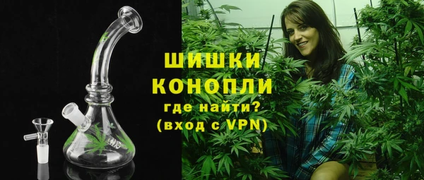 спайс Няндома