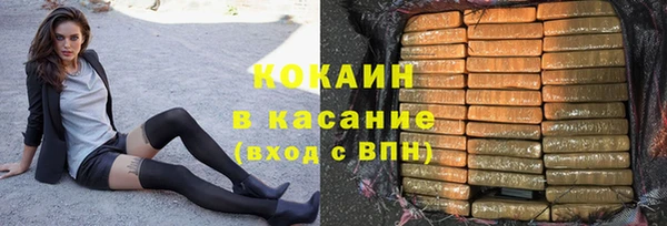 шишки Нягань