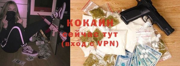 спайс Няндома