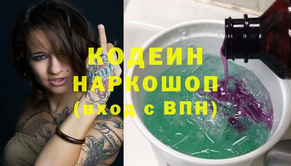 спайс Няндома
