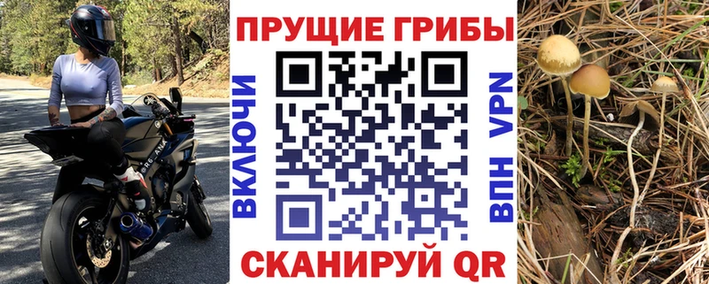 Галлюциногенные грибы Cubensis  Щёкино 